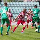 zdjęcie nr 12