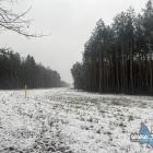 zdjęcie nr 9