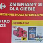 Fotka nr 2 z 11
