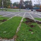 1-IMG_8092