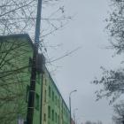 latarnie gwarków (3)