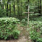 pomnik pacyfikacji leśniczówek 10.07.2022 12-24-29