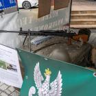 zdjęcie nr 159