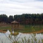 zdjęcie nr 28
