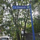 ul. Drzewianki