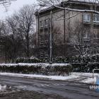 zdjęcie nr 42