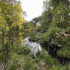 Dolina Żabnika