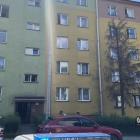 Fotka nr 3 z 9