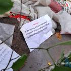 Dzikie wysypisko na Borach. Wiadra i siatki porzucone blisko drogi. Kto wyrzucił śmieci...