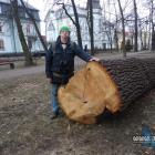 Pan Piotr Grzegorzek i wycięty parkowy dąb