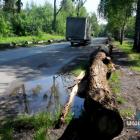 Kłody nad Zalewem Sosina w Jaworznie - czy to bezpieczne rozwiązanie?