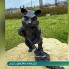 Figurki chomików z Jaworzna w Dzień Dobry TVN
Fot. Dzień  Dobry TVN 