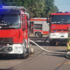 pożar jeleń