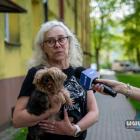 Bożena Jucewicz. Dziki zaatakowały jej psa