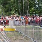 zdjęcie nr 26