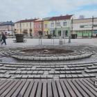 Wycięty jawor na rynku