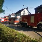 pożar jeleń (3)