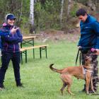 Dog treking 27.04.2019 10-13-47