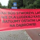 Mieszkańcy Dąbrowy Narodowej nie pozwolą na zniszczenie lasu.