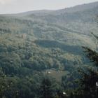 zdjęcie nr 375