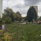 zdjęcie nr 26