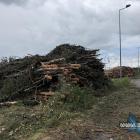 zdjęcie nr 28