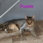 Fotka nr 2 z 3