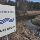 Kozi Bród