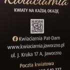 zdjęcie nr 14