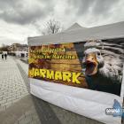 Jarmark św. Marcina na Rynku w Jaworznie