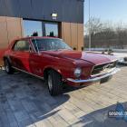 Czerwony Mustang