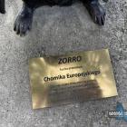 zdjęcie nr 8