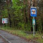 zdjęcie nr 36
