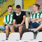 zdjęcie nr 11