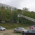 Strażacy z Jaworzna uratowali rannego gołębia