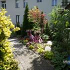 zdjęcie nr 34