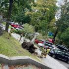 Drzewo zwaliło się na samochody. Zdjęcie nadesłane przez panią Agnieszkę