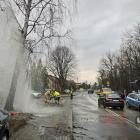 zdjęcie nr 12
