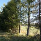 zdjęcie nr 32