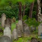 aworznicki kirkut skrywa historie dawnych mieszkańców miasta. Fot. Patrycja Koprzak