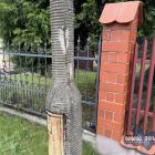 zdjęcie nr 22