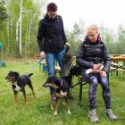 Dog treking 27.04.2019 10-13-50