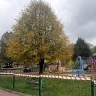 zdjęcie nr 41