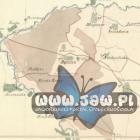 Dąbrowa w XIX wieku