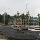 zdjęcie nr 7