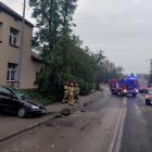 Fot. KMP Jaworzno