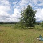 Kozłowa Góra i meandry Brynicy