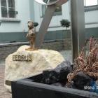 zdjęcie nr 13