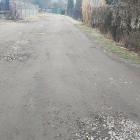 1-drzymały (2)