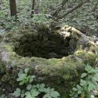 zdjęcie nr 24